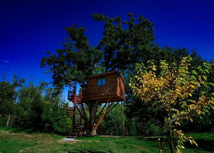 Casa Sull'Albero Bocchineri Bed & Breakfast Rogliano photo