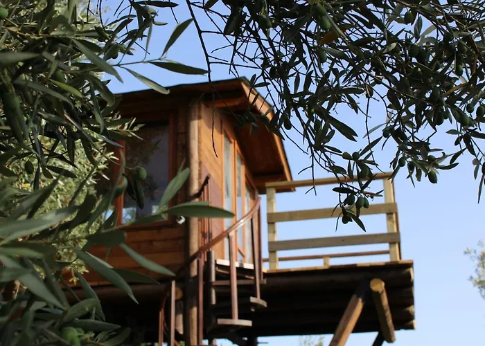The Treehouse - Casa Sull'Albero Al Golden Camp Bed & Breakfast Falerna photo