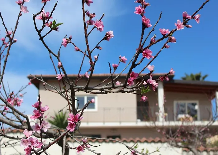 Residenza Anna Calabria Bed & Breakfast Briatico photo