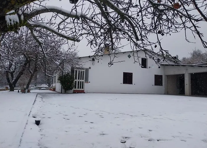 Villetta Indipendente Fra I Pini Della Sila Cs Castiglione Cosentino zdjęcie